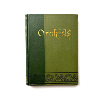 1894 - The Orchids of New England, First Edition