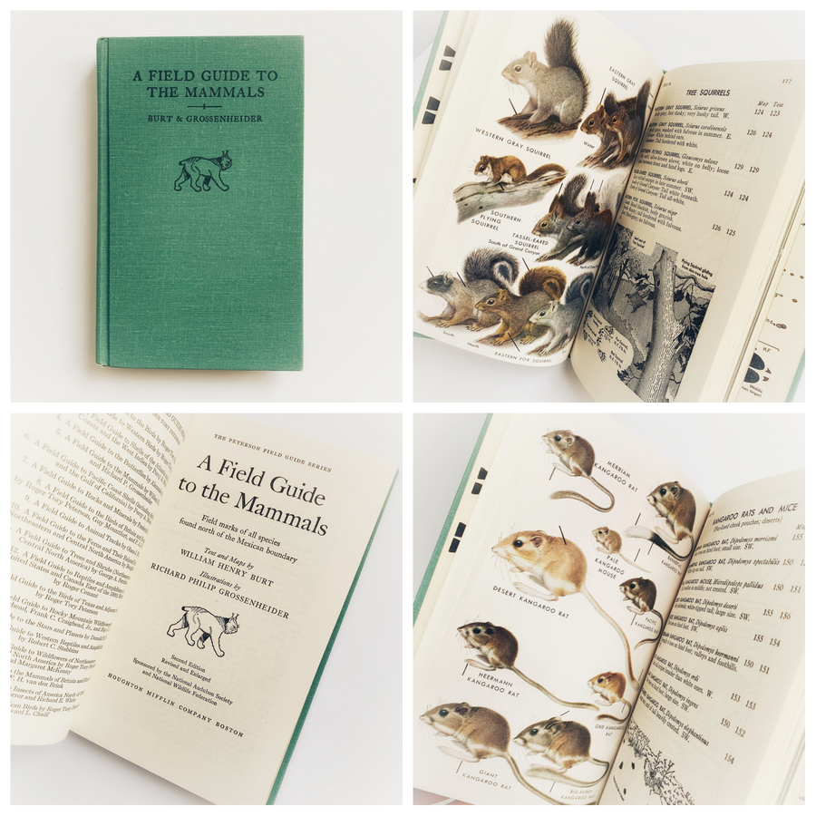 Vintage Field Guides, Sold Individually – Honey Bee Mill