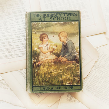 1913 - The Bobbsey Twins at School