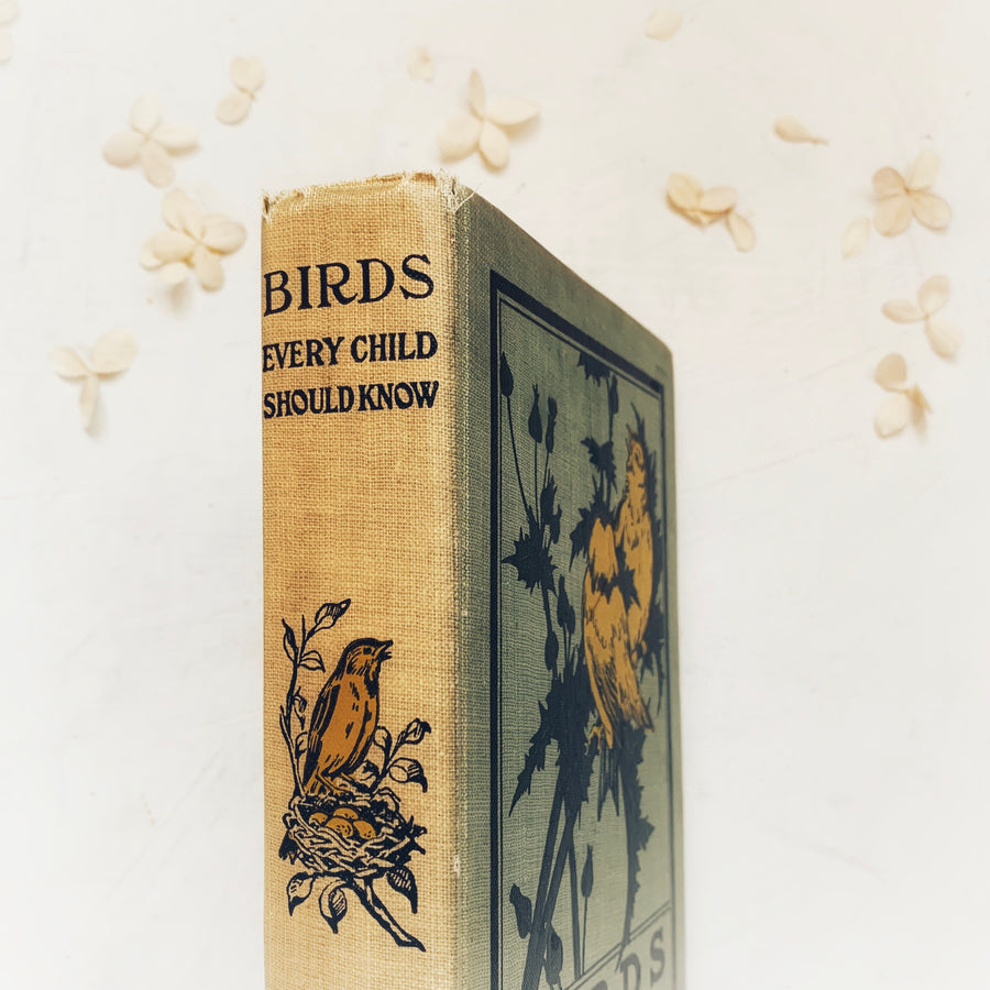 1913 - Birds Every Child Should Know