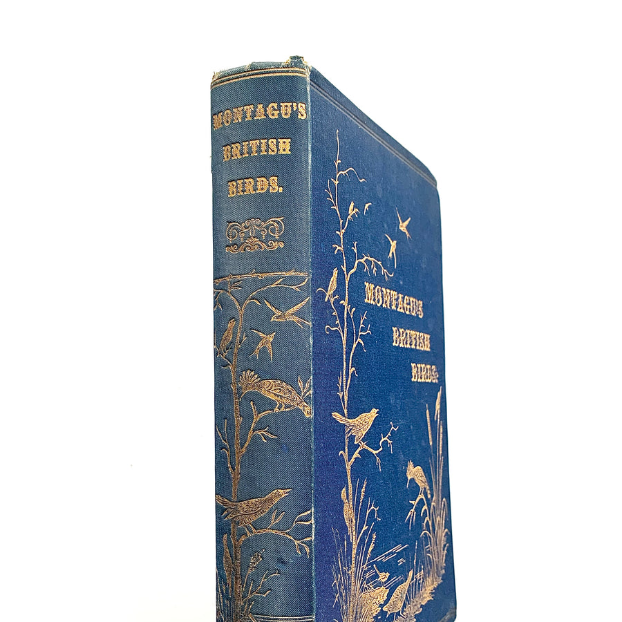 c. 1866 - Montagu’s British Birds, A Dictionary of British Birds