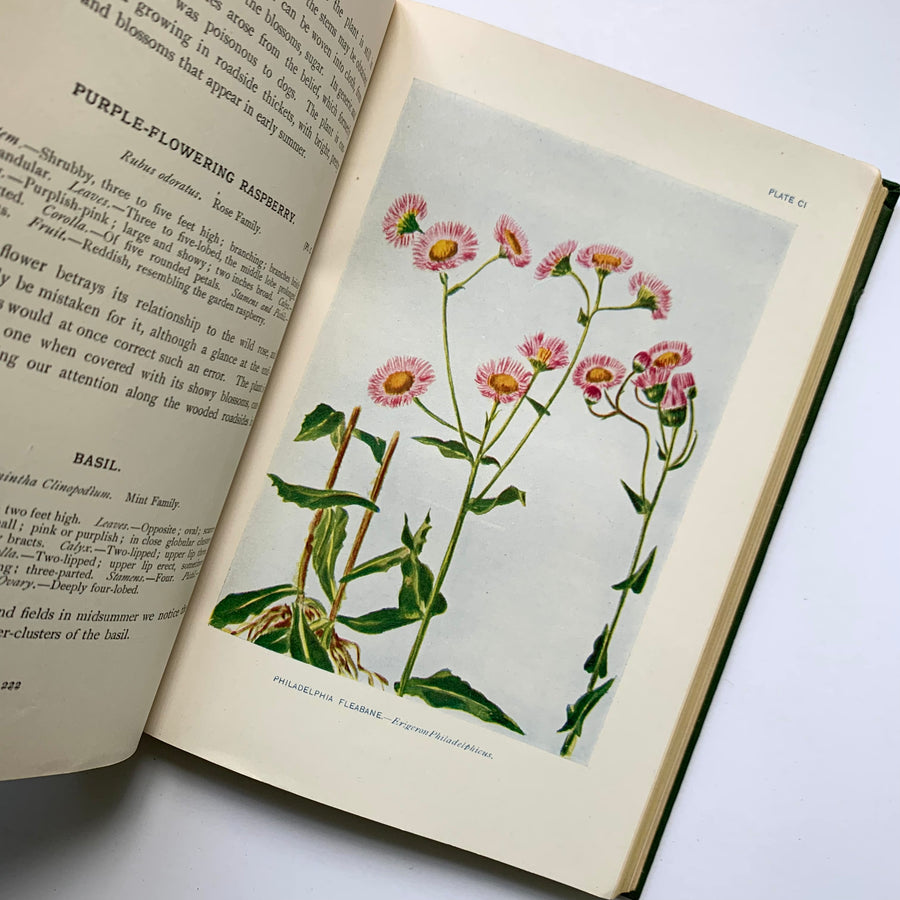 1903 - How To Know The Wild Flowers