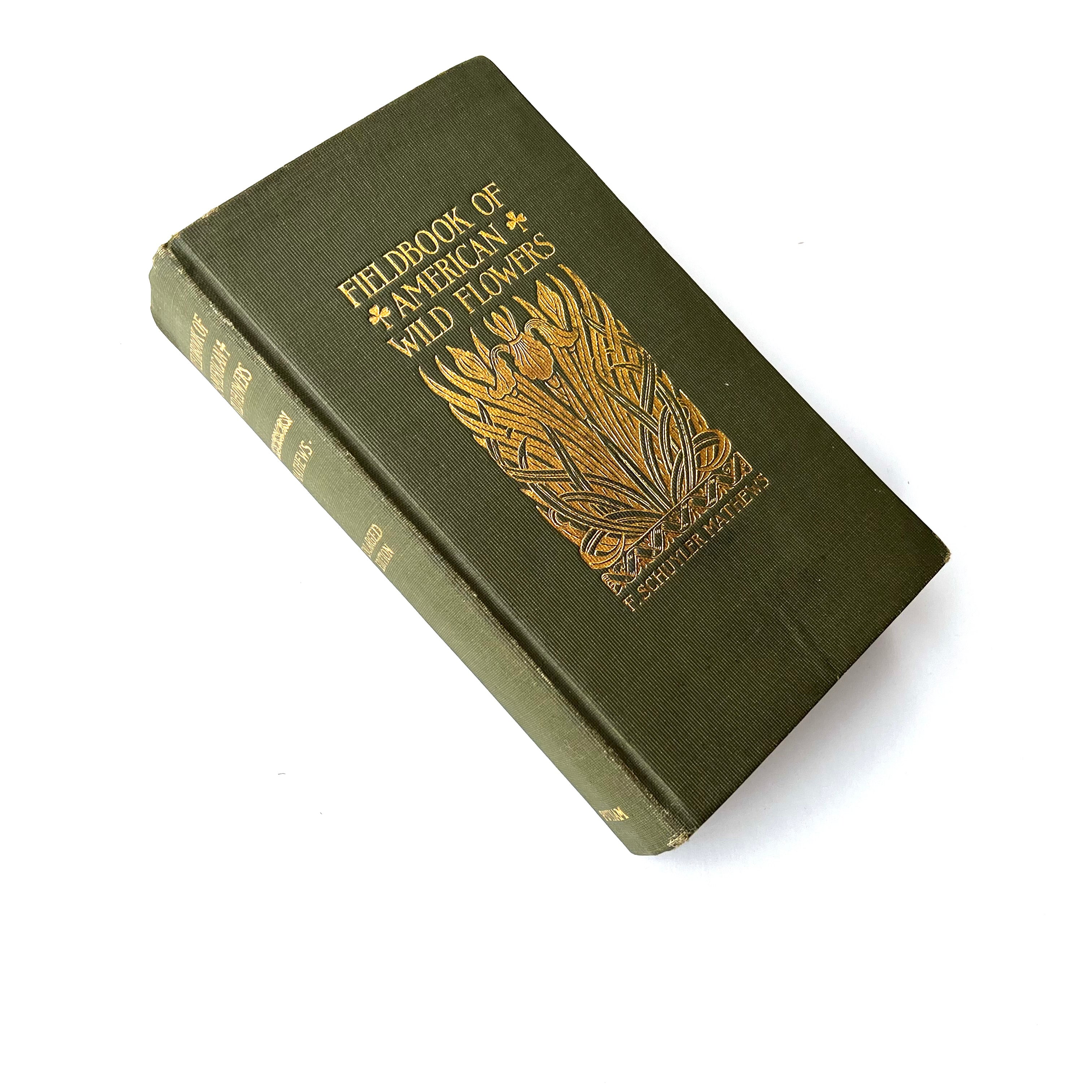 1927 - FieldBook of American Wild Flowers – Honey Bee Mill