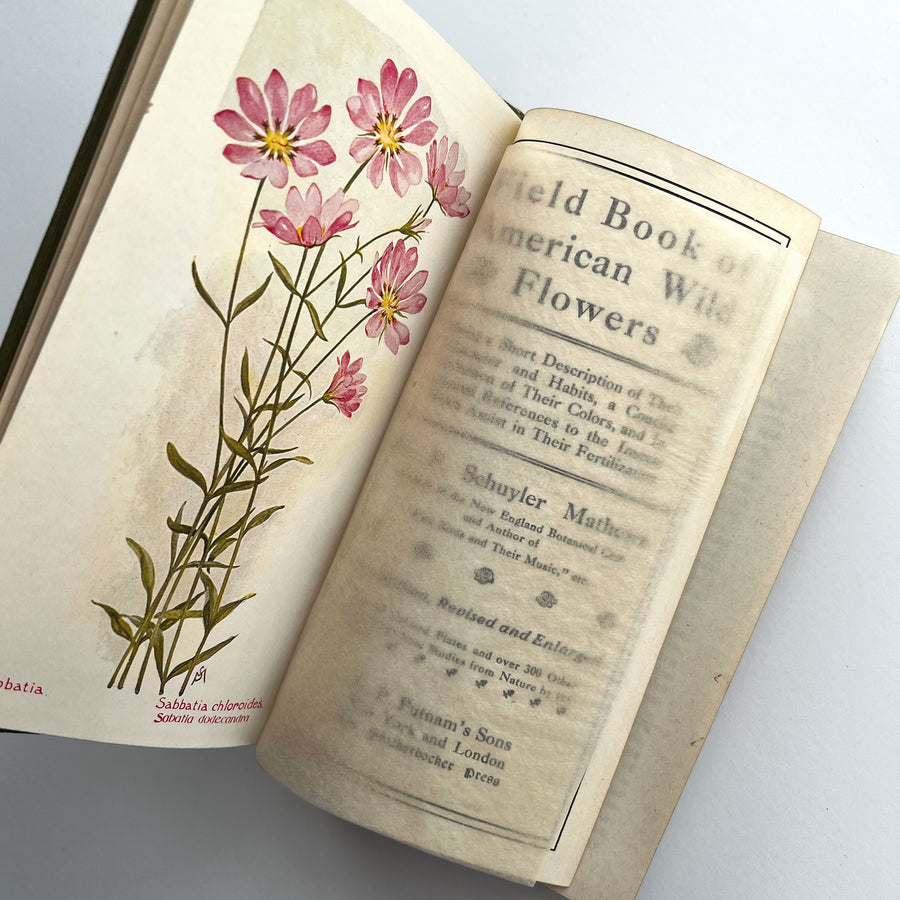 1927 - FieldBook of American Wild Flowers